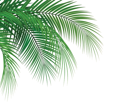 WEBNCCOCONUT2025-05