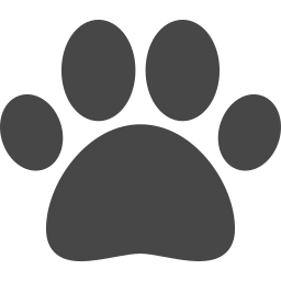 paw