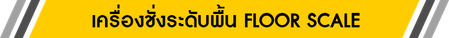 iTopPlus1028056056338