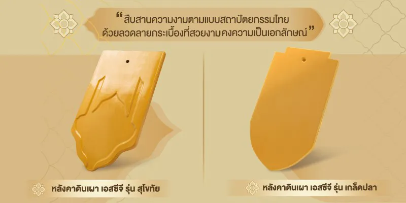 10cl1article-1