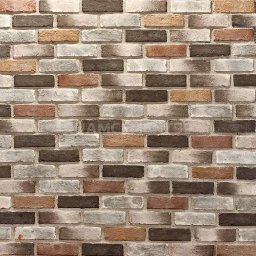 CHAPTERONE(538-115)
