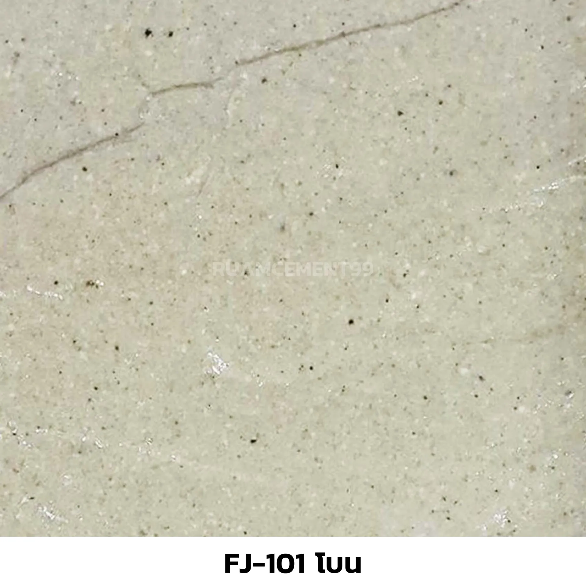 FJ-101โบน