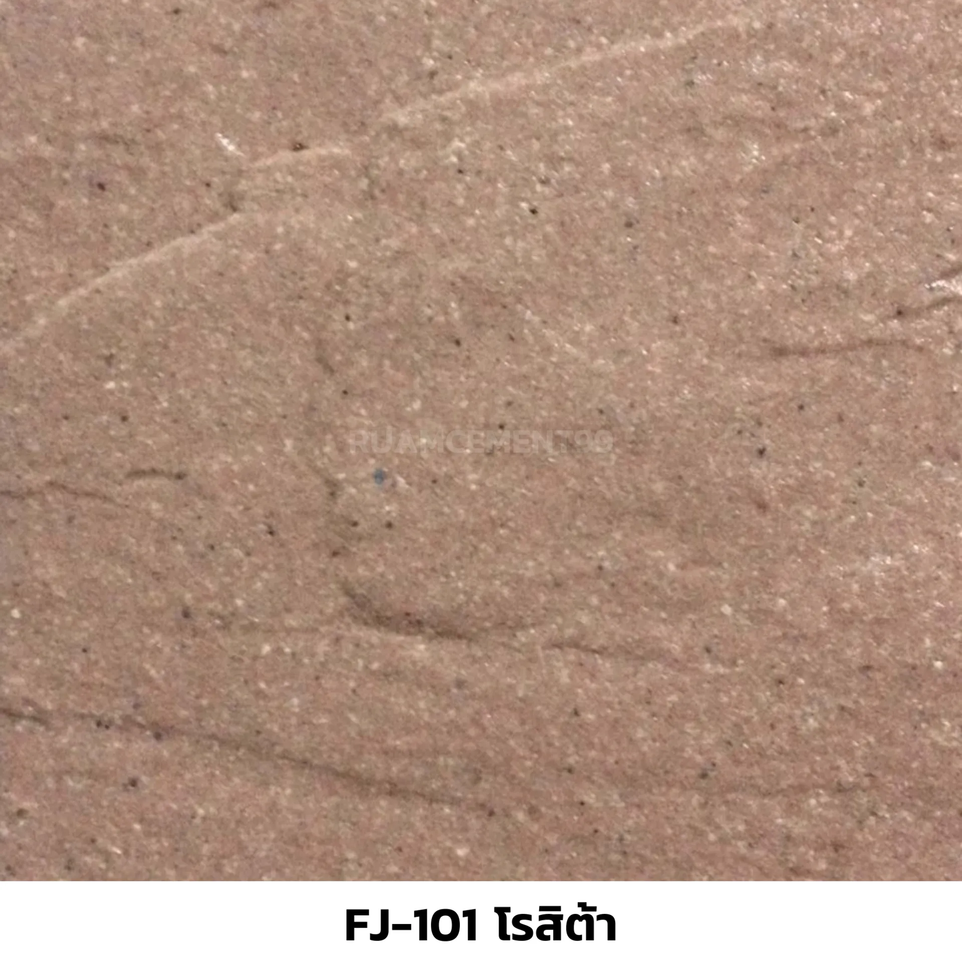 FJ-101โรสิต้า