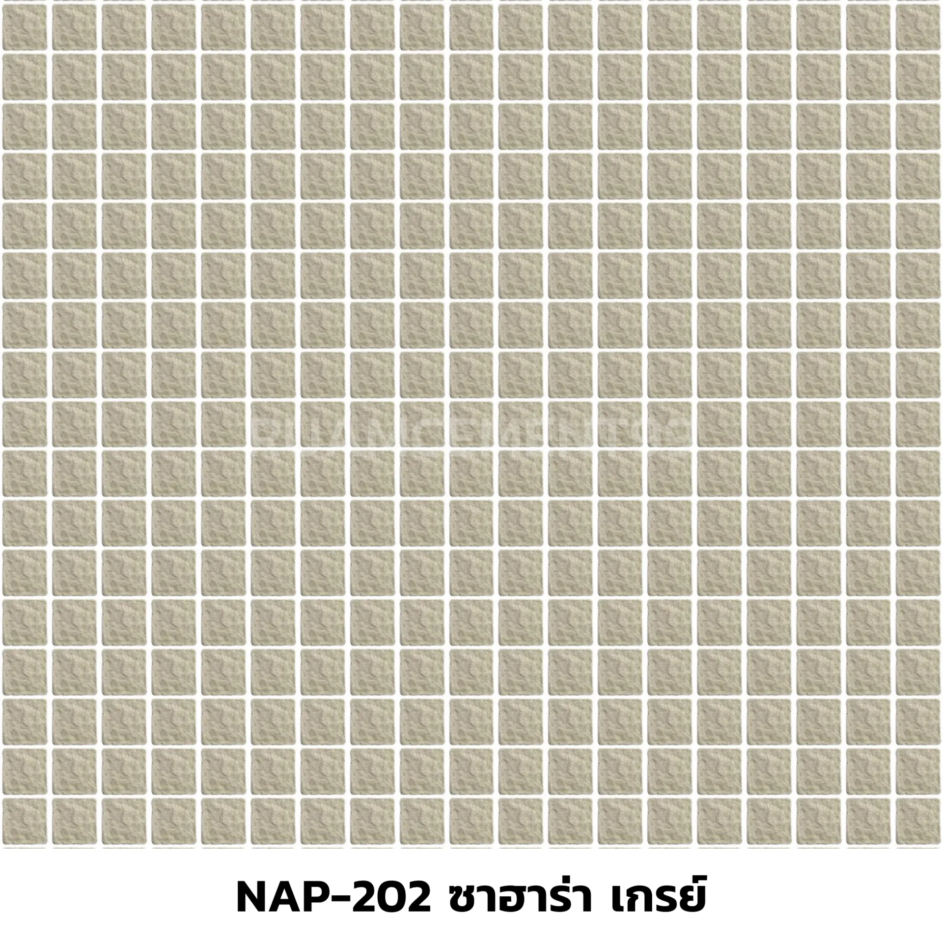 NAP-202ซาฮาร่าเกรย์