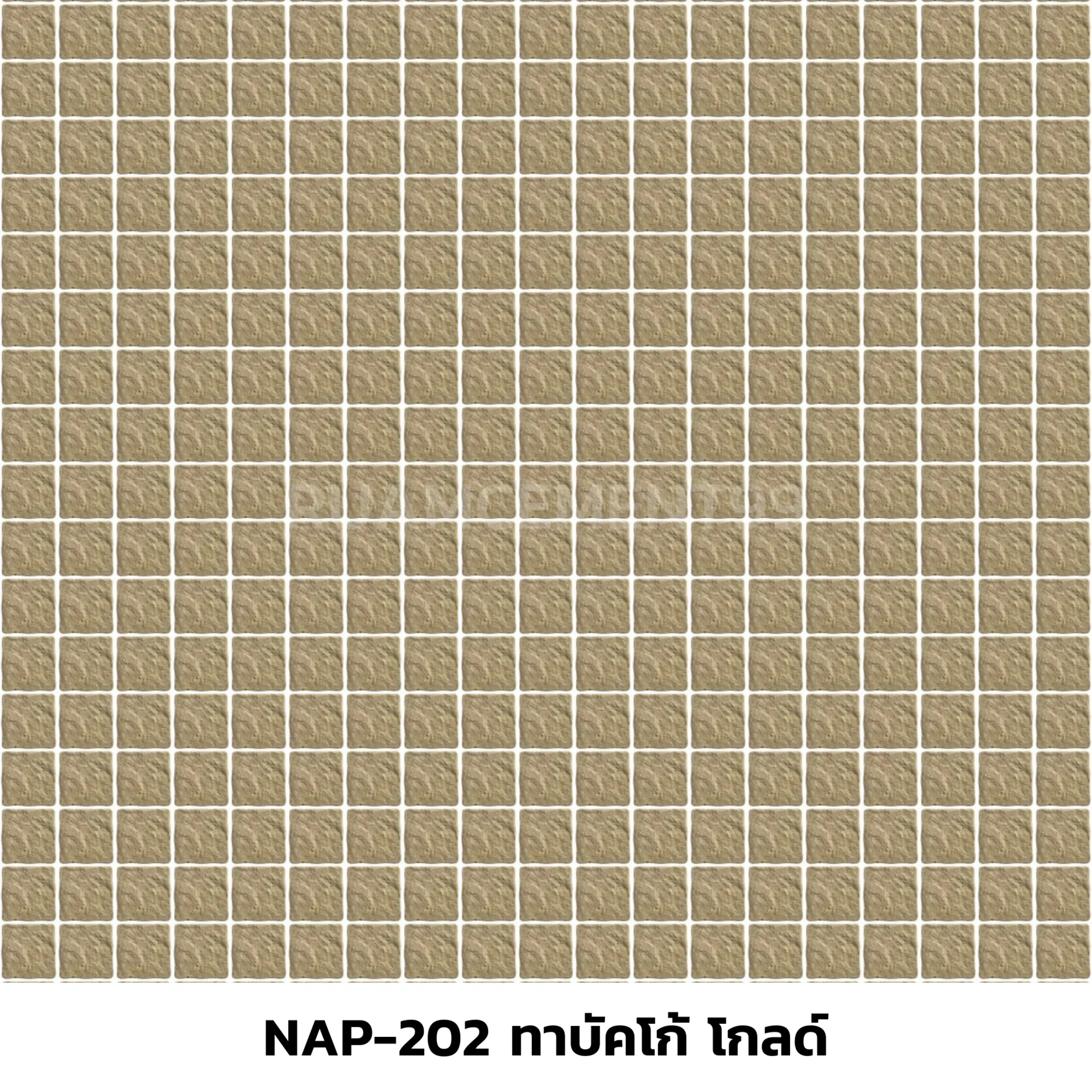 NAP-202ทาบัคโก้โกลด์