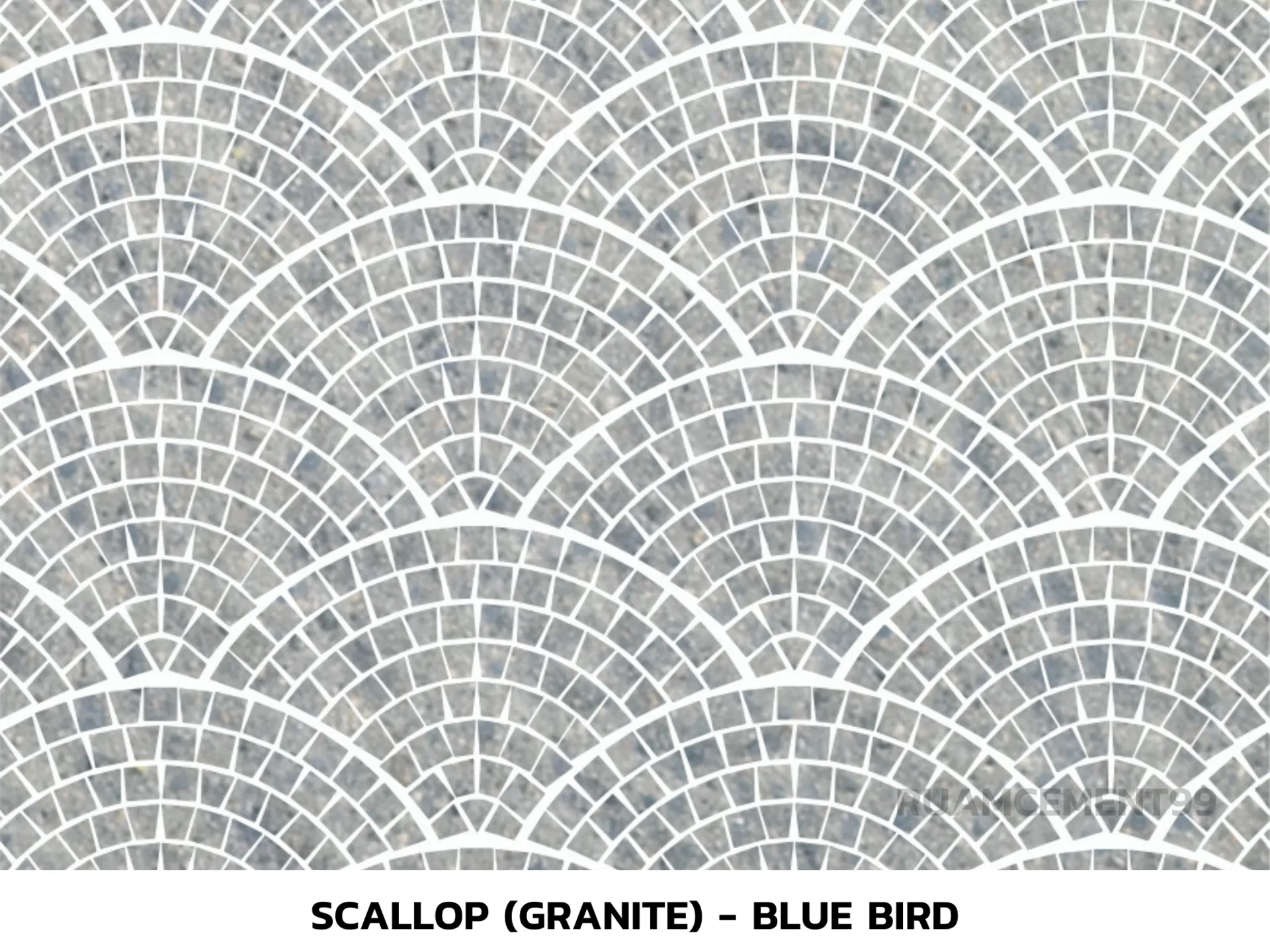 Scallop(Granite)-BlueBird