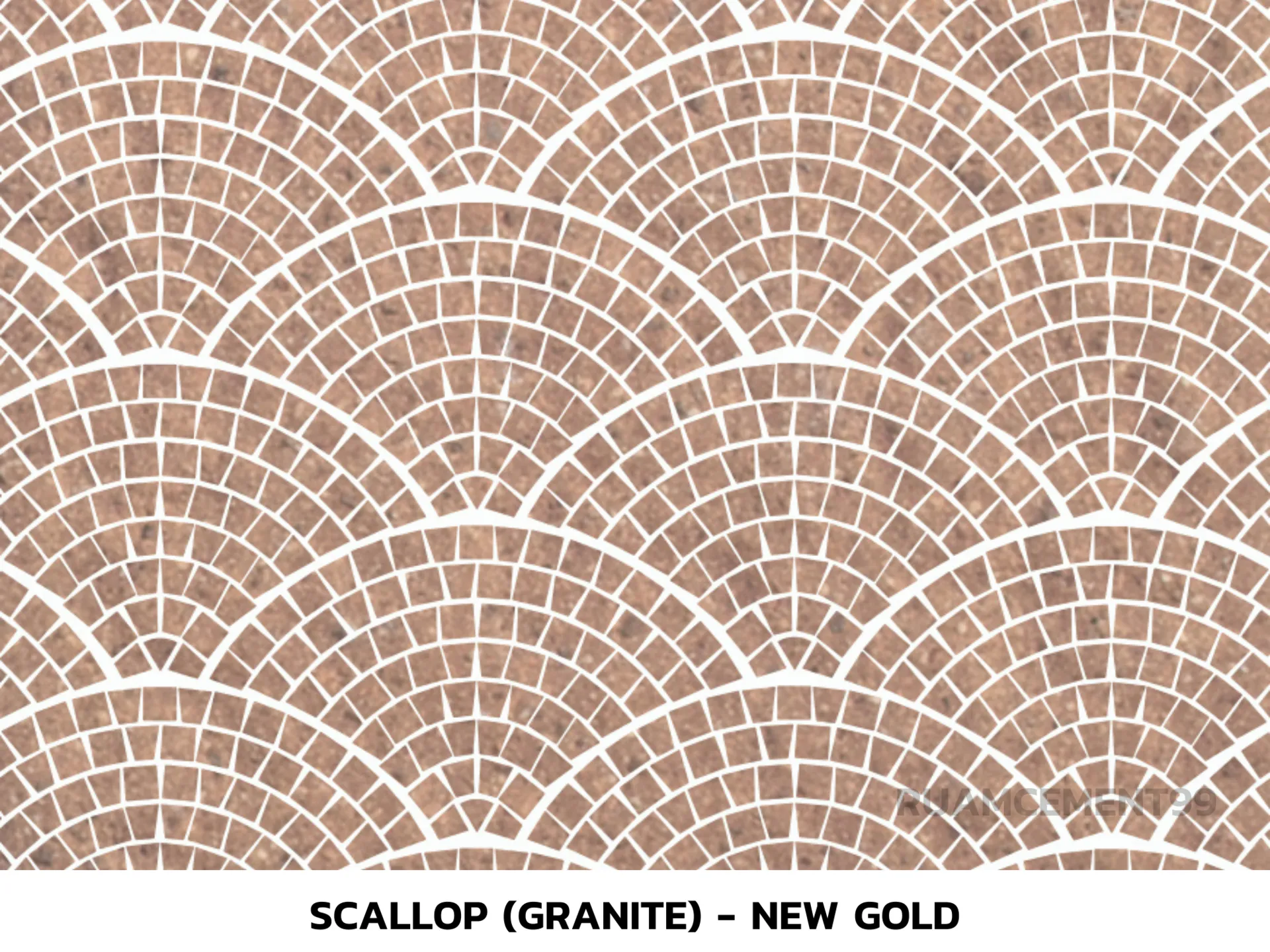 Scallop(Granite)-NewGold