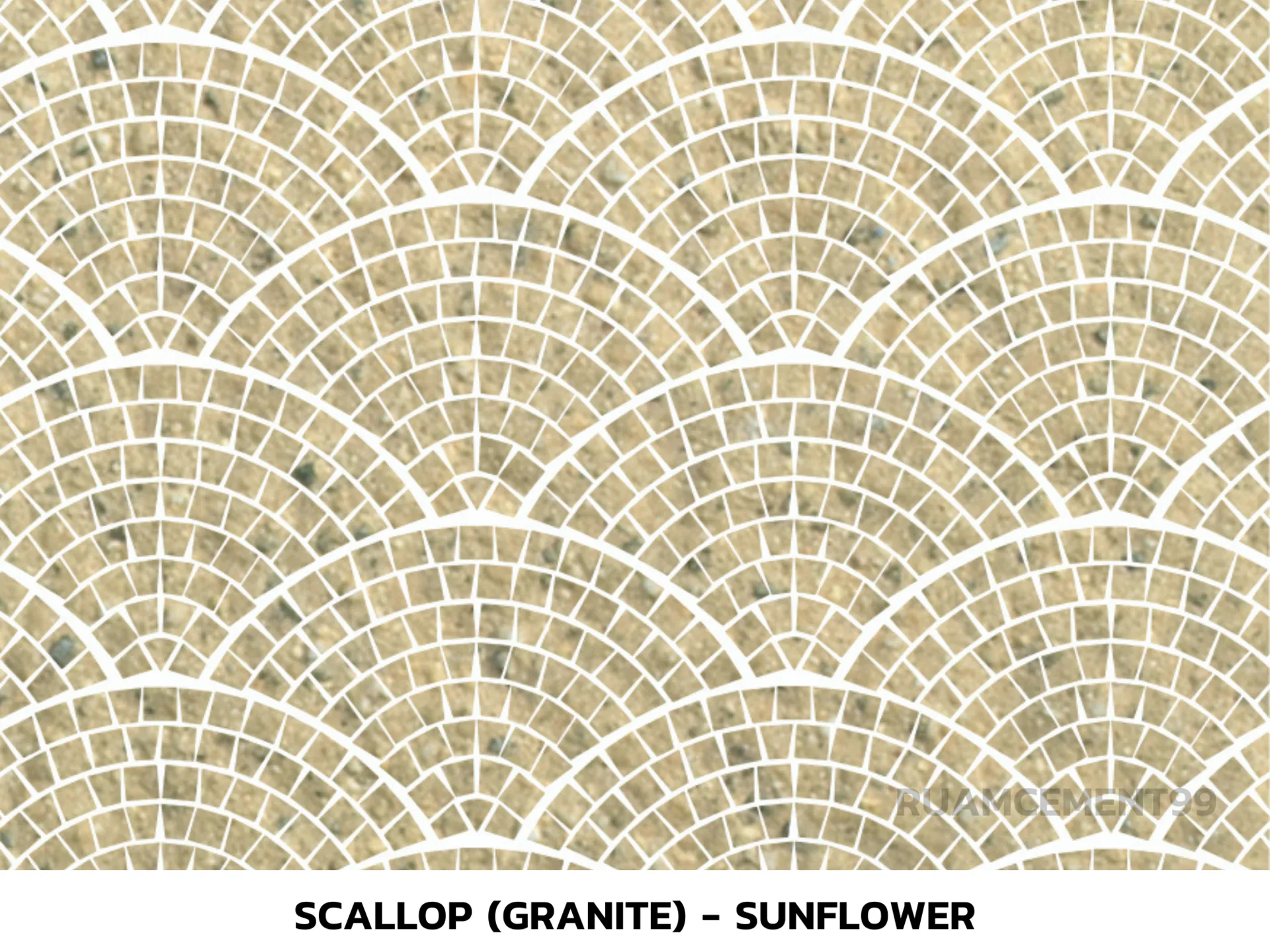 Scallop(Granite)-Sunflower
