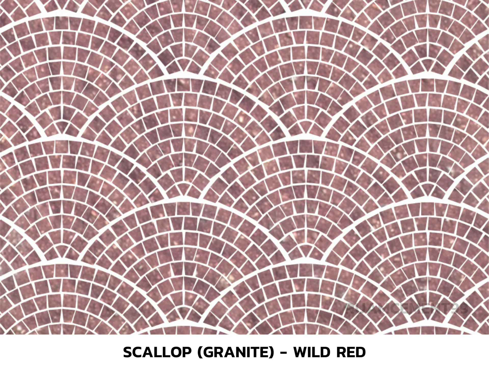 Scallop(Granite)-Wildred