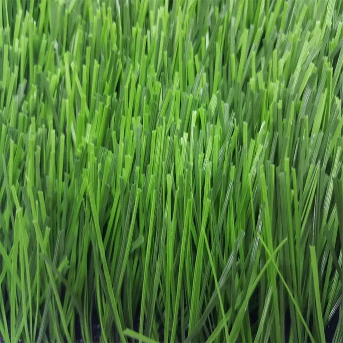 iTopPlus106474792590