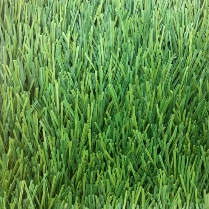 iTopPlus1172626069347