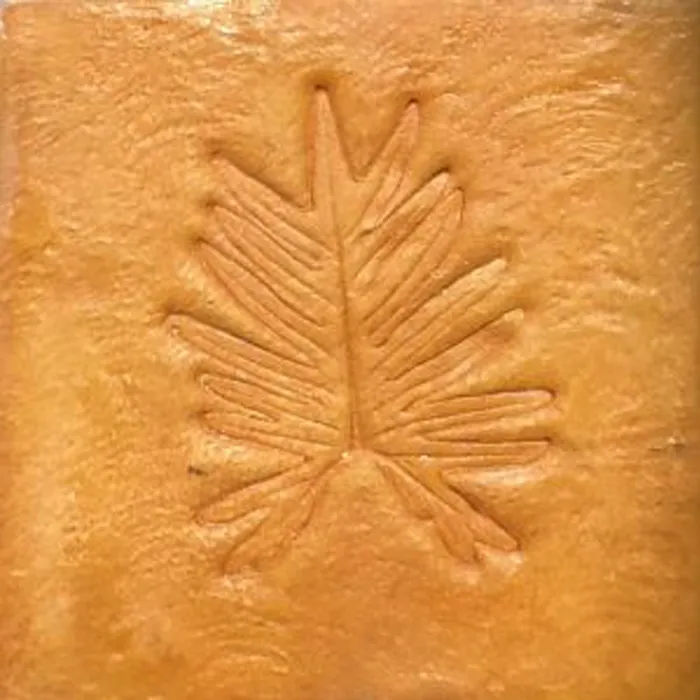iTopPlus1318321018274