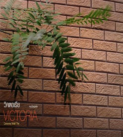 iTopPlus974432400315