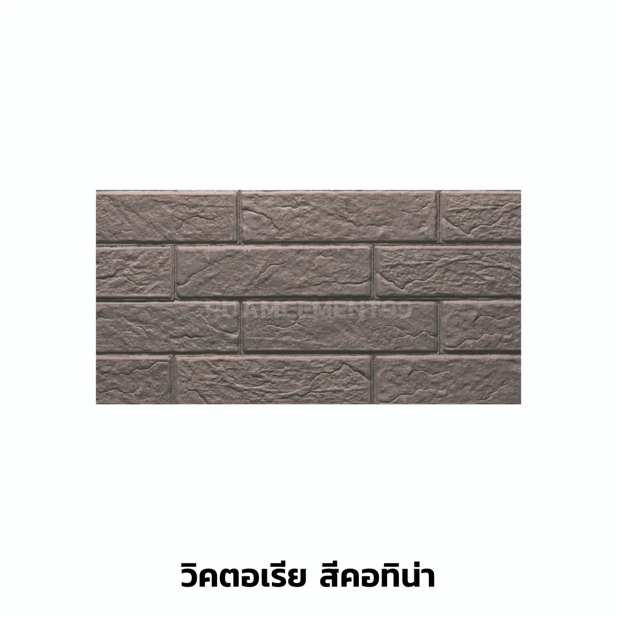 คอทิน่า