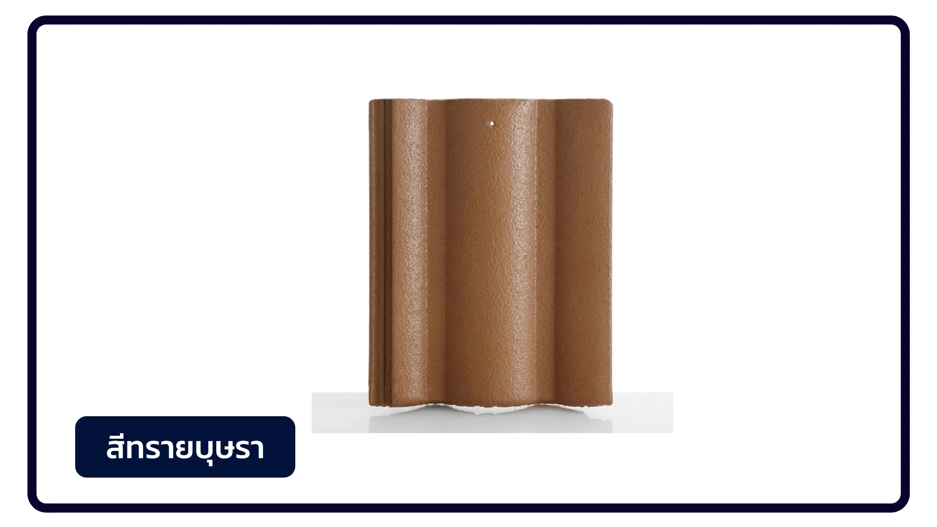 ซีแพค-นีโอคลาส-สีทรายบุษรา