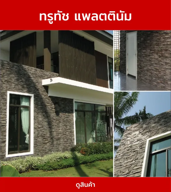 ทรูทัชแพลตตินัม