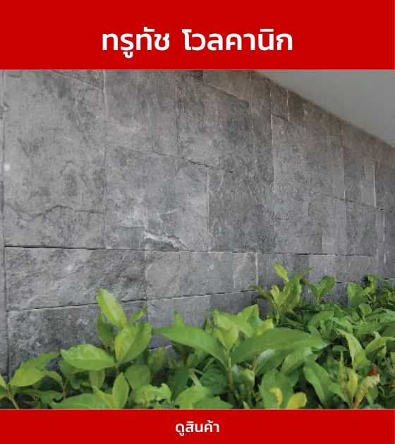 ทรูทัชโวลคานิก