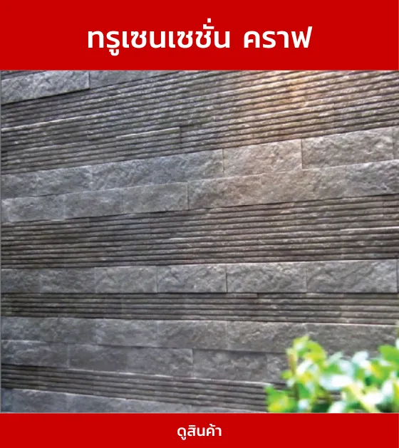 ทรูเซนเซชั่นคราฟ