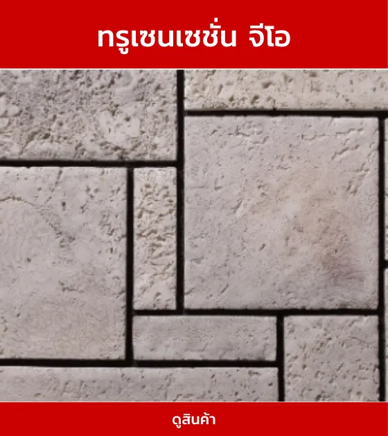 ทรูเซนเซชั่นจีโอ