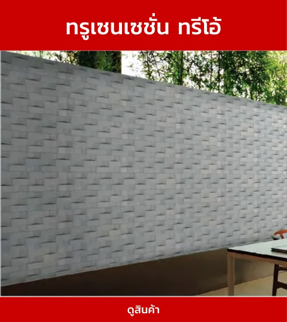 ทรูเซนเซชั่นทรีโอ้