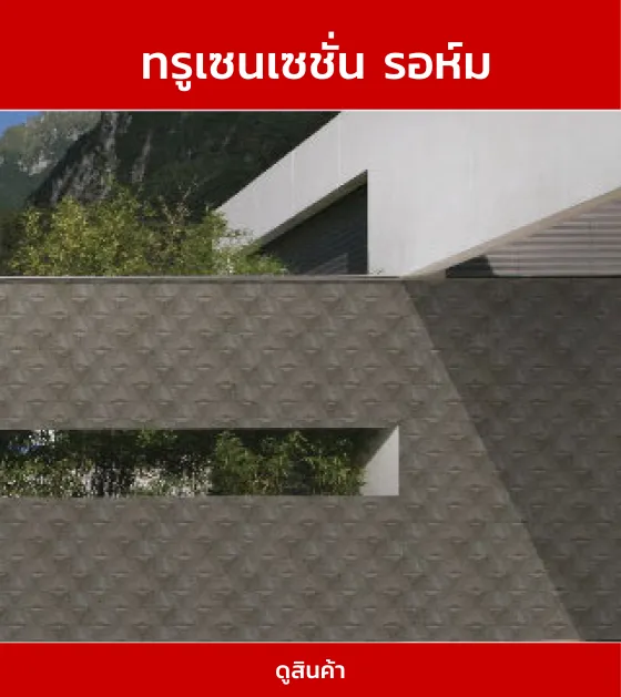 ทรูเซนเซชั่นรอห์ม