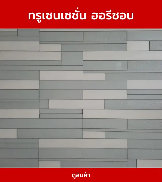 ทรูเซนเซชั่นฮอรีซอน