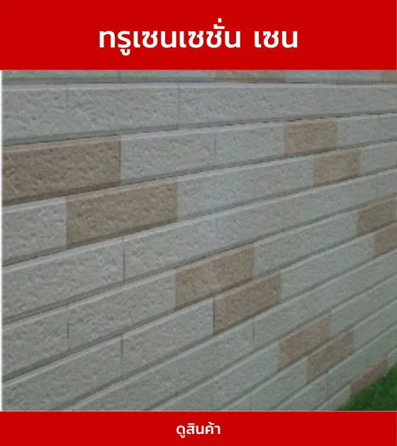 ทรูเซนเซชั่นเซน