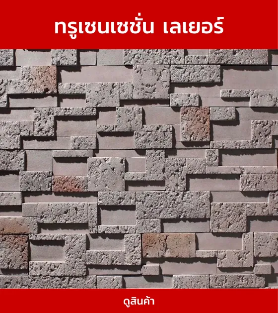 ทรูเซนเซชั่นเลเยอร์