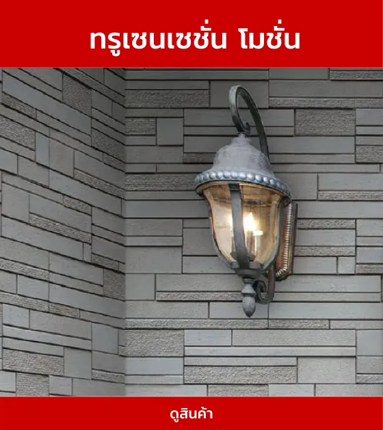 ทรูเซนเซชั่นโมชั่น