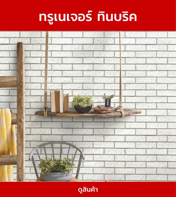 ทรูเนเจอร์ทินบริค