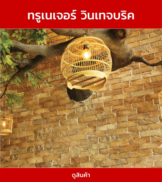 ทรูเนเจอร์วินเทจบริค