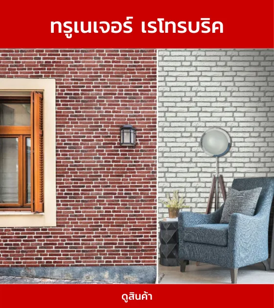 ทรูเนเจอร์เรโทรบริค