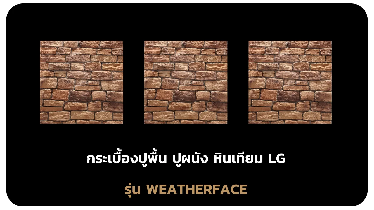 รุ่นWEATHERFACE