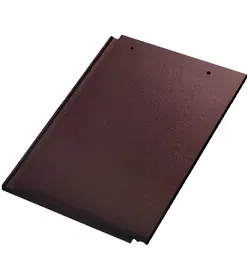 สีออร์เบิร์นบราวน์