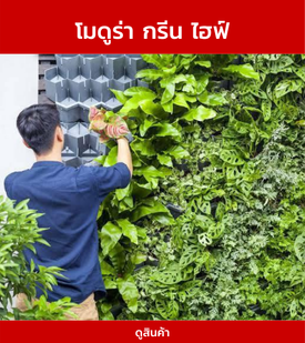 โมดูร่ากรีนไฮฟ์