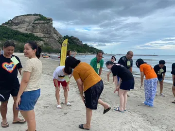LINEALBUMteambuildingonthebeach224072554