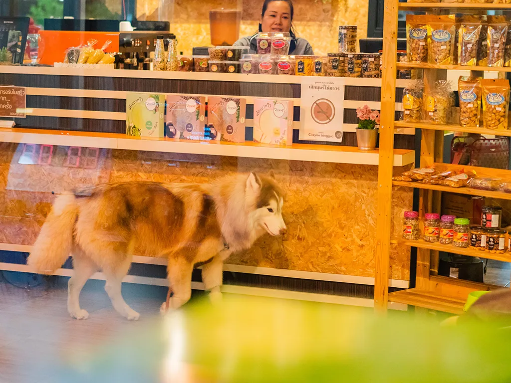 อาเมอร์ร้านกาแฟ