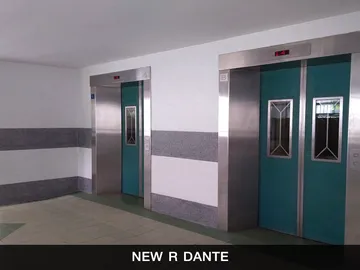 New-R-Dante