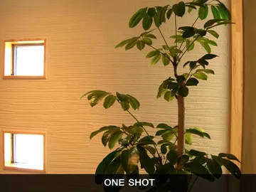 ONE-SHOT