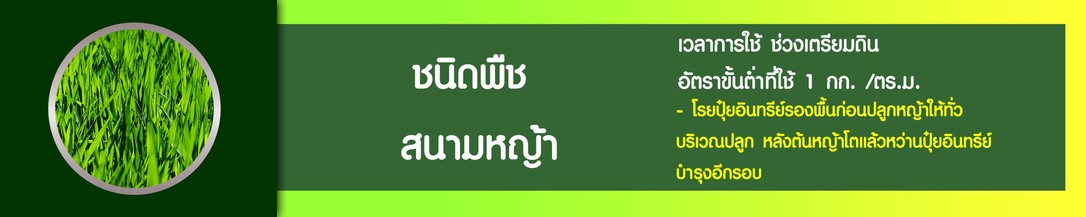iTopPlus119915331516