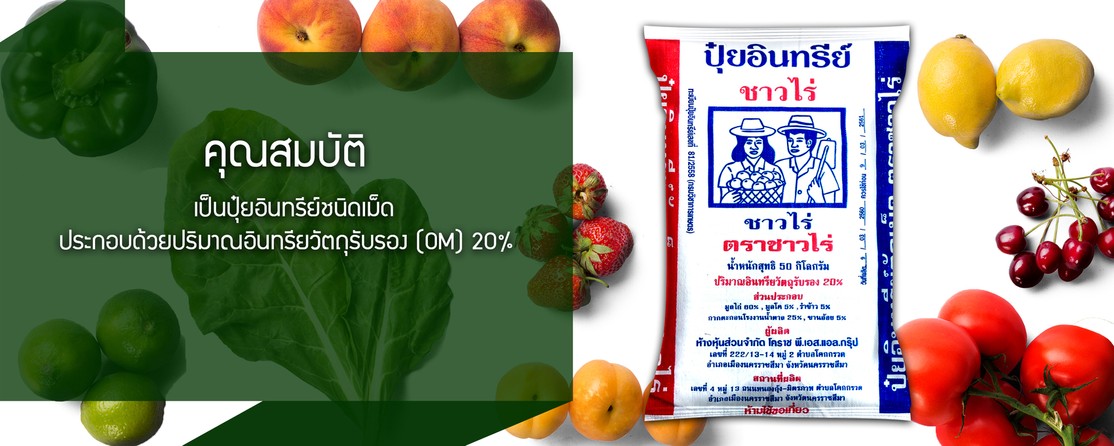 iTopPlus80599179799