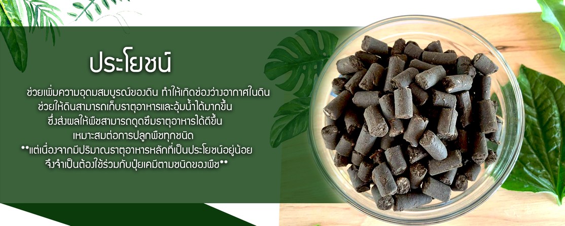 iTopPlus8814352848