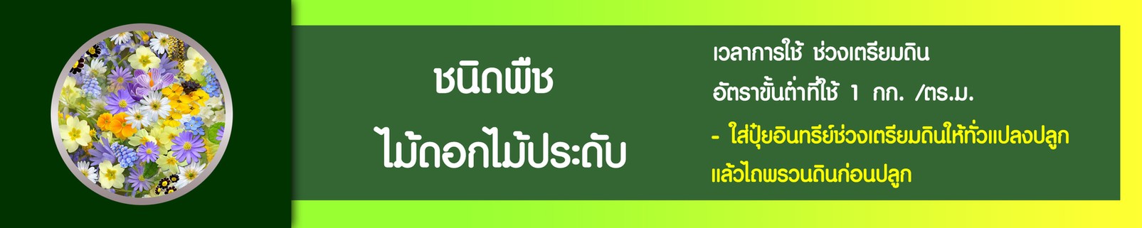 iTopPlus1024744694396