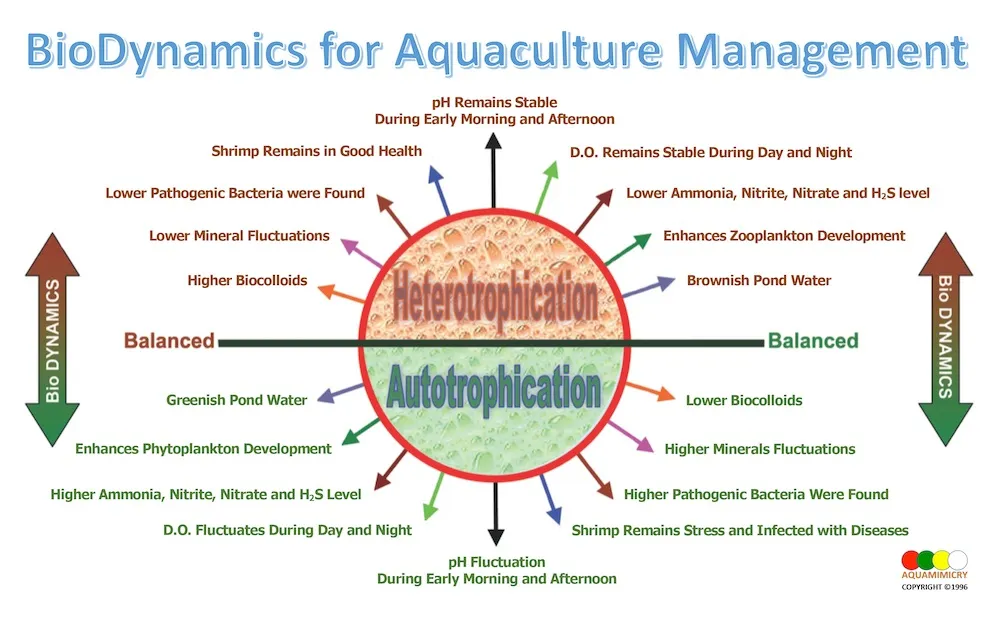 BioDynamics2