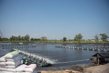 iTopPlus1282506411211