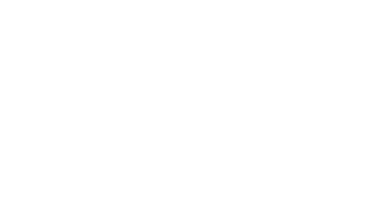 e11