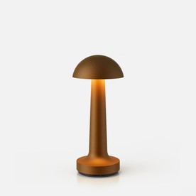Cooee1CSandblastedBronze