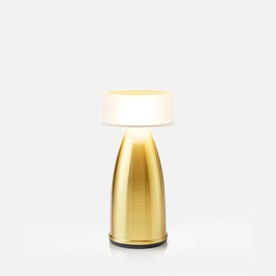 Ow21Brass Brushed & Lacquered