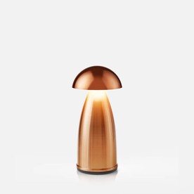 Owl1Copper Brushed & Lacquered