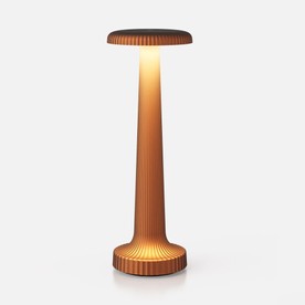 TallpoppySatinBronze